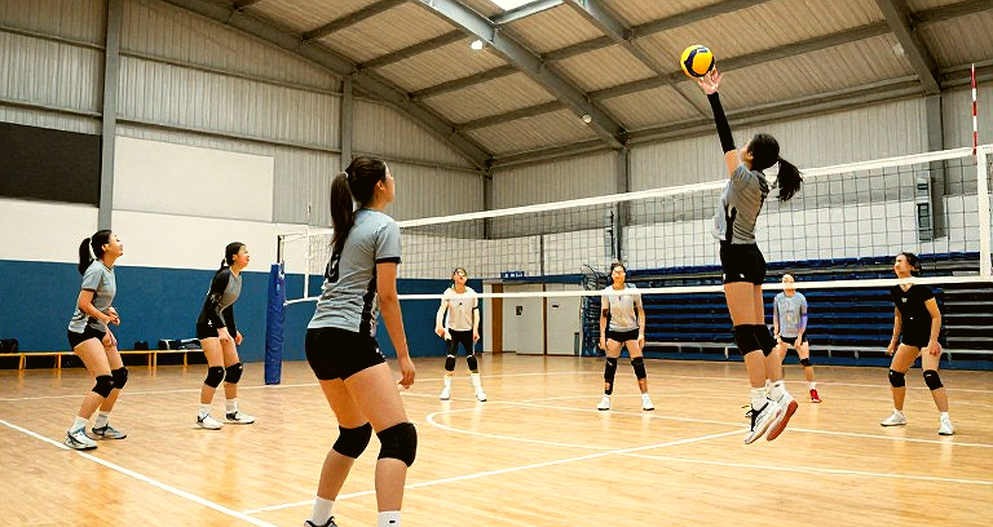 2026 Asian Men's Volleyball Championship: Japan and the Road to the 2028 Olympics 2026 Asian Men's Volleyball Championship: Japan and the Road to the 2028 Olympics